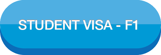 visa image